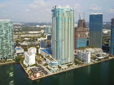 ea_cat_biscayne_beach